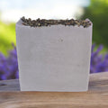 Lavender Soap